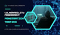perform vulnerability assessment and penetration testing for website security