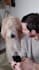 be your dog actor model or spokesperson