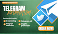 do telegram subscribers promotion