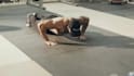 do video editing on all platforms with corporate business and fitness