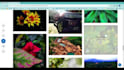design frontend portfolio website for you
