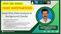 do professional background check and osint report