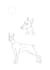 illustrate anything you need