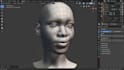 rig 3d model for wonder dynamic,ik fk control,advance skeleton,3drigging,fix 3d