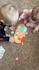 create ugc ads of your product with my kids