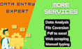 do freelance data entry work,copy paste and data analysis