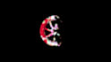 do video editing and logo animation as well