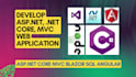 be your asp dot net developer for web application