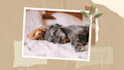 make photo slideshow video