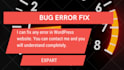 do fix bugs issues and errors of your wordpress website