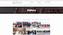 design responsive and effective portfolio or business wordpress site for you