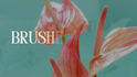 create modify and design amazing fonts