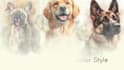 create stunning watercolor pet portraits in 24 hours
