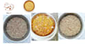 formulate homemade and commercial food for dogs