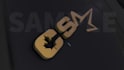 create a stunning logo animation
