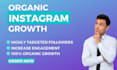 do organic instagram promotion