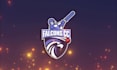 do a custom mascot logo design