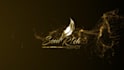 do luxury gold logo reveal animation