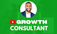 be your youtube channel growth consultant
