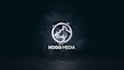 make professional intro and corporate videos