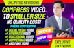 professionally compress and convert your videos to mp4 fast
