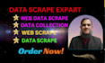 do data scraper with python