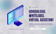 be your gohighlevel virtual assistant for white label agencies