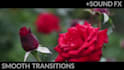do video editing ads editing video marketing
