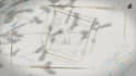 do beautiful wedding  invitation video