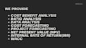 perform cost benefit, business and ratio analysis