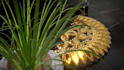 designing and sculpting custom jewelry models
