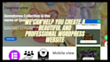 develop any type of business website in wordpress