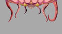 create smooth animations pixel art for your game