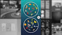 develop unity 3d ,2d, multiplayer mobile games for android and ios