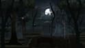 draw background illustration for your animation