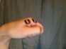 say anything you script with my hands as puppets for 30 seconds