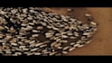 make cinematic trailer or title sequence