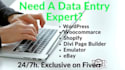 do fastest data entry in low price