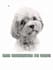 do a black and white pet portrait