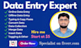 do data entry copy paste insert data typing convert data merge data