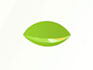 do animation and motion graphics