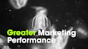 create the ideal persona for your business