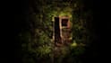 create top quality environment and level design in unreal engine 5