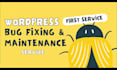 fix wordpress bugs and provide maintenance services