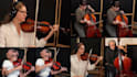 record live strings for you violin, viola, cello, contrabass