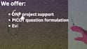 provide expert support for dnp projects, msn, and picot questions