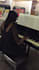 give personalized piano lessons for all ages