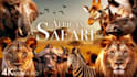 create wildlife animals copyright free fighting videos for youtube