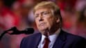 record a hilarious donald trump celebrity voice over