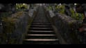 do professional travel promo and video